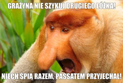 zezz - Jeden z lepszych memów. Choć już troche stary
#polak #heheszki #humorobrazkow...