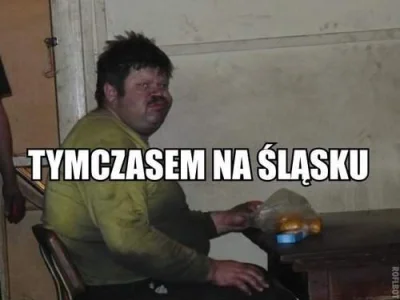 golebiow6 - @Dzangen: #slask