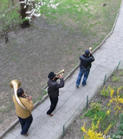 k.....k - Cygańskie mariachi w przetartych koszulach i z dziurawymi instrumentami dęt...