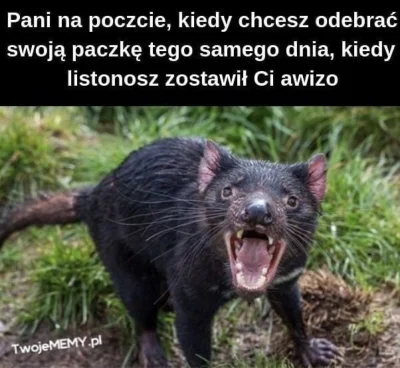 p.....k - #heheszki #humorobrazkowy #memy