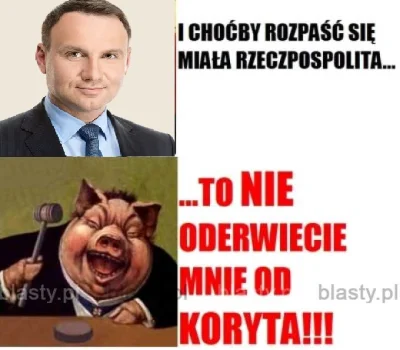 krdk - @wesolutki: Memy wprowadzają polityczne dyskusje na żałosny poziom.