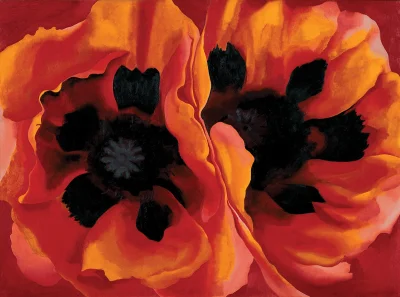 kwiatencja - Georgia O’Keeffe Oriental Poppies 1928

#malarstwo #sztuka #obrazy #la...