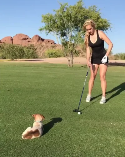 likk - ostatecznie też bym sobie pooglądał jakiś golfowy trening