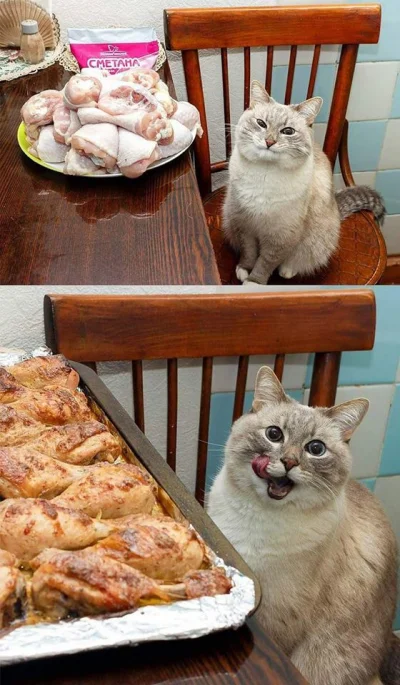 A.....3 - #heheszki #humorobrazkowy #zwierzaczki #zwierzeta #koty #kot #foodporn #jed...