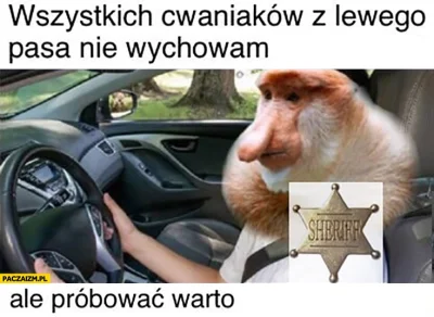 smoczewski