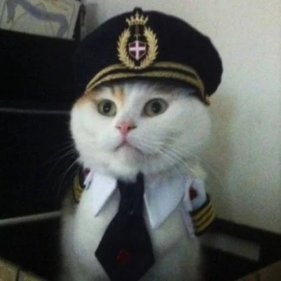 Atreyu - Tak, to ja. Kot admirał.


#pokazmorde #tagujenanocnej #koteczkizprzypadk...