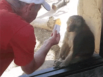 HiT92 - @seisdios: ;)