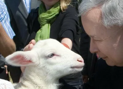 karma-zyn - Jarosławie Mały lud Twój czeka na dekret w sprawie bród w Pacanowie!