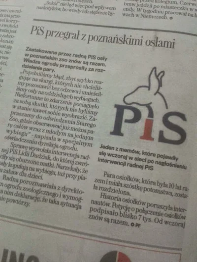 KrzysiekEire - A co na to PiS?