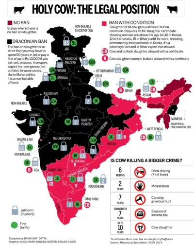 N.....h - Podejście do zabijania krów w Indiach.
W niektórych stanach (na czarno) za...