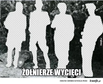 syfsyfiasty - Żołnierze wycięci w photoshopie zamknięci ( ͡° ͜ʖ ͡°) #zolnierzewykleci...