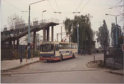 w.....4 - To były czasy...
#trolejbusy #trolejbusboners #mkm #debica #jelcz #komunik...