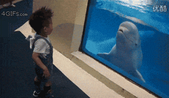 trebeter - delfin rasista spotyka czarne dziecko