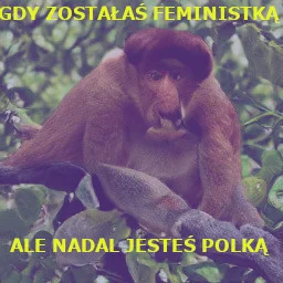 majsterV2 - #heheszki #humorobrazkowy #polak #bekazfeministek #nosaczsundajski #memec...