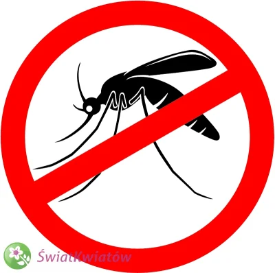 qball - Mirki, sprawa jest! 

Jakich środków na te wkurzające małe muszki i komary uż...