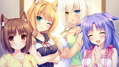 n.....S - #randomanimeshit #nekopara #azuki #maple #coconut #cinnamon #kemonomimi #ne...