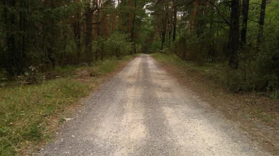 PanDzikus - @zbyl2: Asfaltowy szajs a nie ideał. 
Tak wygląda ideał.