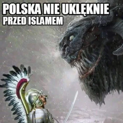 RezuNN - @comrade: "Ważne, że lewaków dupka piecze, hehe"
"CHWAŁA WIELKIEJ POLSCE!"
...