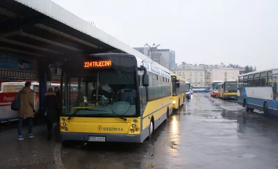 Pangia - @Felonious_Gru: Nie, Solbus to marka autobusów, produkują również międzymiej...