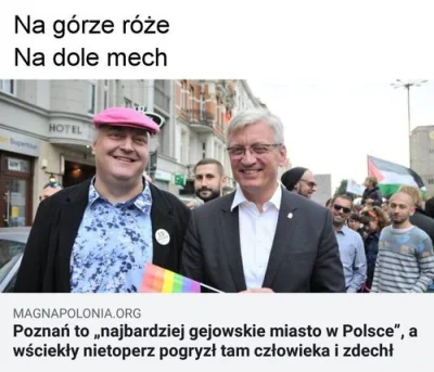 Prokurator_Bluewaffles - #naglowkiniedoogarniecia 
#poznan #humorobrazkowy
#bekazni...