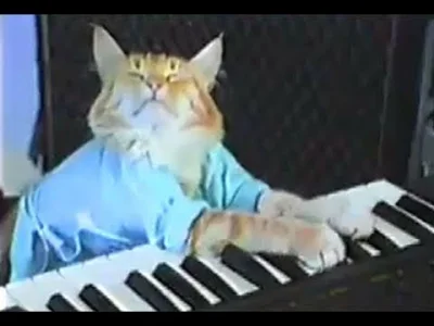 Fizyk_kwantowy - Od dawna wiadomo, że koty są muzykalne