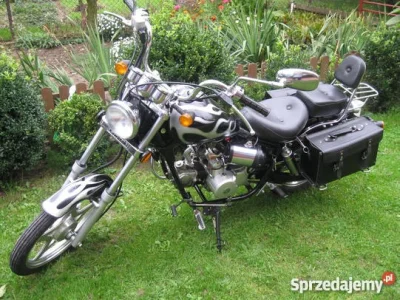 Reaveart - #chopper #motoryzacja 
Kinroad XT50Q KING Łoś Chopper 50

Szukam schema...