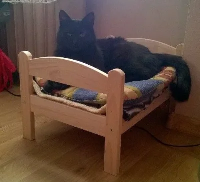 jblck - @Madzialena: Mój spał na krześle i w różnych dziwnych miejscach więc dostał s...