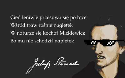 radziu_11 - #disstradycyjny #slowacki #mickiewicz #humorobrazkowy #heheszki
