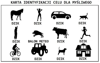 volatile_pc - Ostatni rząd, przedostatnia kolumna - przecież to dzik jest, tylko wygl...