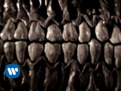 Limelight2-2 - #muzyka #90s #gimbynieznajo 
Kyuss – Demon Cleaner 

#limelightmusi...
