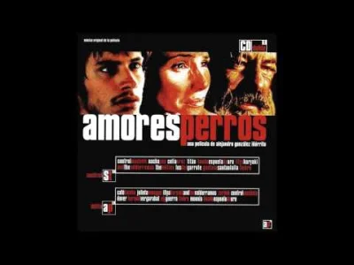 toldii - Gustavo Santaolalla - Tema Amores Perros + Atacama

#muzyka #acustic #soun...