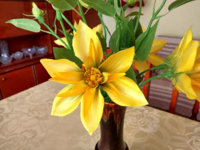 wojtec124 - Mirki, babcia się mnie pyta jaki to kwiatek

Może ktoś wie? :D

#kwiatek ...