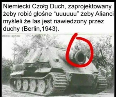 Sokoosky - Czy to ten słynny niemiecki czołg duch?