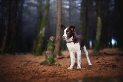 Aenkill - Przypomniałam sobie o istnieniu fajnej miejscówki, pogoda dopisała, więc ma...