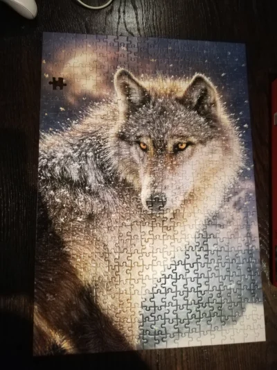 ElektrycznyMarian - Cały wieczór poświęcony a tu nie ma jednego.... #puzzle #zalesie ...