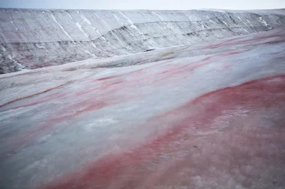K.....t - Czerwony śnieg Antarktyda, zjawisko wywoływane przez glony.