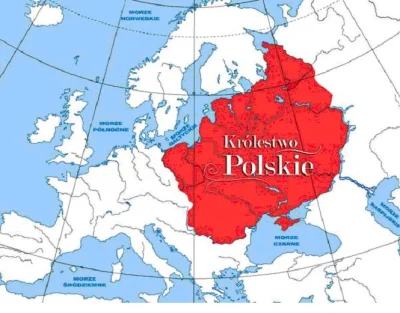 T.....r - Neuropejski discord ma jedynie zadanie szerzenia nienawiści wobec Polski i ...