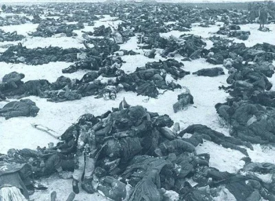 Kappamera - Wojska niemieckie po Stalingradzie.