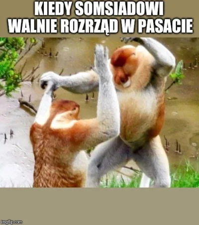 PeaK - Będę wstawiał dotąd aż wyplusujecie w gorące

#heheszki #humorobrazkowy #nosac...