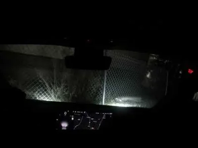 anon-anon - Dyno Mode Crash Test Dummy - Tesla Model 3 spin out in Dyno Mode!
https:...