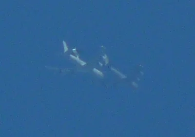 deyvid21 - Tankowanie AWACS, zdjęcie z poniedziałku, wykonane w opolskim.
#aircraftb...
