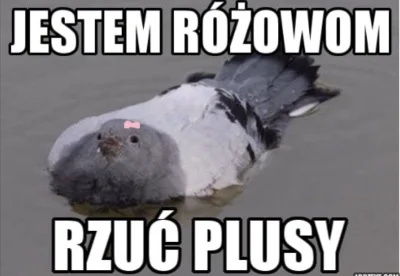 LewCyzud - #heheszki #atencyjnyrozowypasek