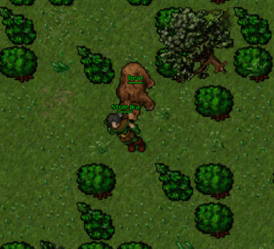 tomekhydrantsredni - #tibia