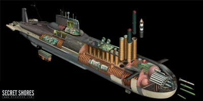 Bednar - Okręt podwodny projektu 941 Akuła (w kodzie NATO Typhoon).

#militaria #wo...