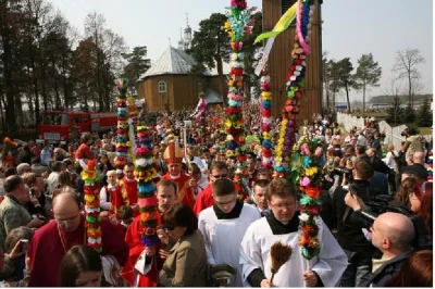 T.....m - > Zasięg występowania palm przesuwa się na północ
Potwierdzam.