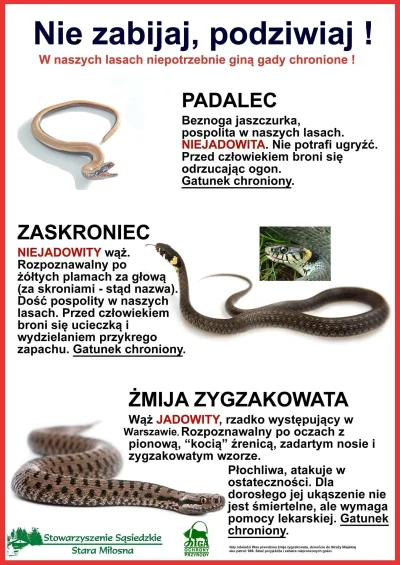 madstorm - Pomóż chronić polskie gady.

#oswiadczenie #gady #polska #przyroda
