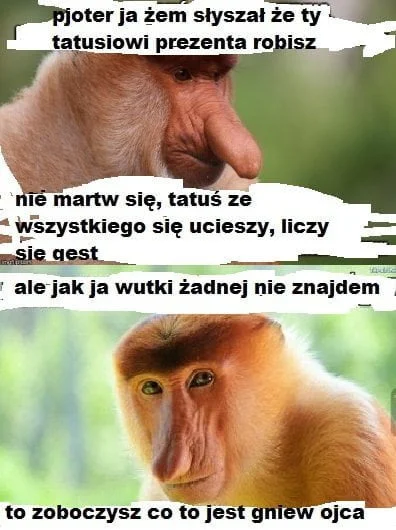 wlepierwot - #polak #nosaczsundajski #heheszki #humorobrazkowy