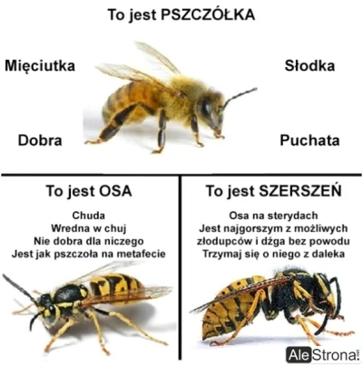 Rihter - Witam. Jesteś autorem tego obrazka? ( ͡° ͜ʖ ͡°)