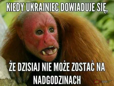 MakGajwer - Pewnie było, ale co tam. Jest potencjał ( ͡° ͜ʖ ͡°)
#ukraina #prawopracy ...