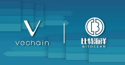 Amadeo - > VeChain has finalized the terms of a strategic partnership with BitOcean. ...